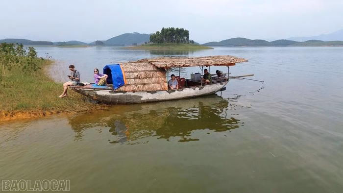 Du khách nước ngoài được người dân Làng Hồ đưa đến các đảo cây để khám phá, trải nghiệm.